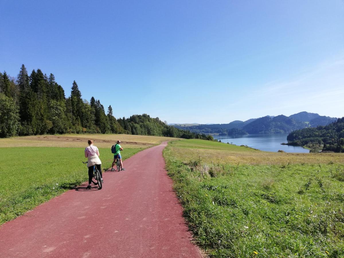 Domki Nad Jeziorem Czorsztynskim Debno  Exteriör bild